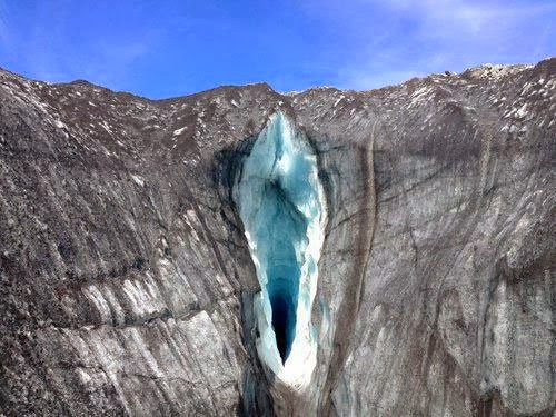 pictures of vagina vulva porn best dating site for 40-50