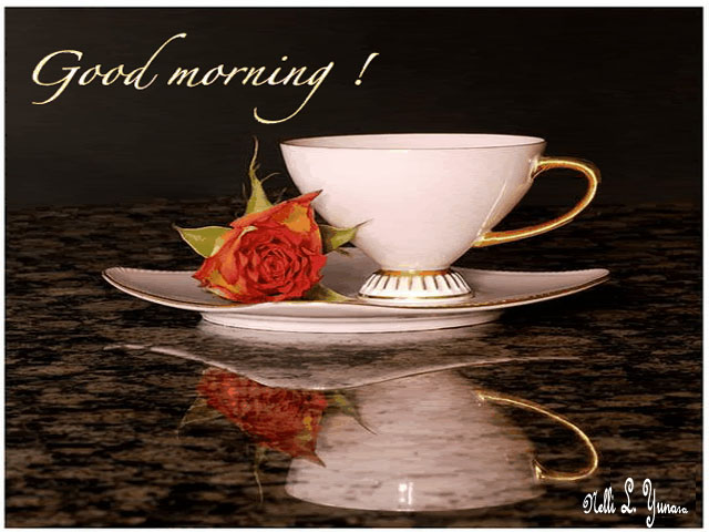 http://4.bp.blogspot.com/-ef-oAZHO1go/TYl7YZCXRQI/AAAAAAAAD_E/gmxidhqXQ6c/s1600/n0.jpg