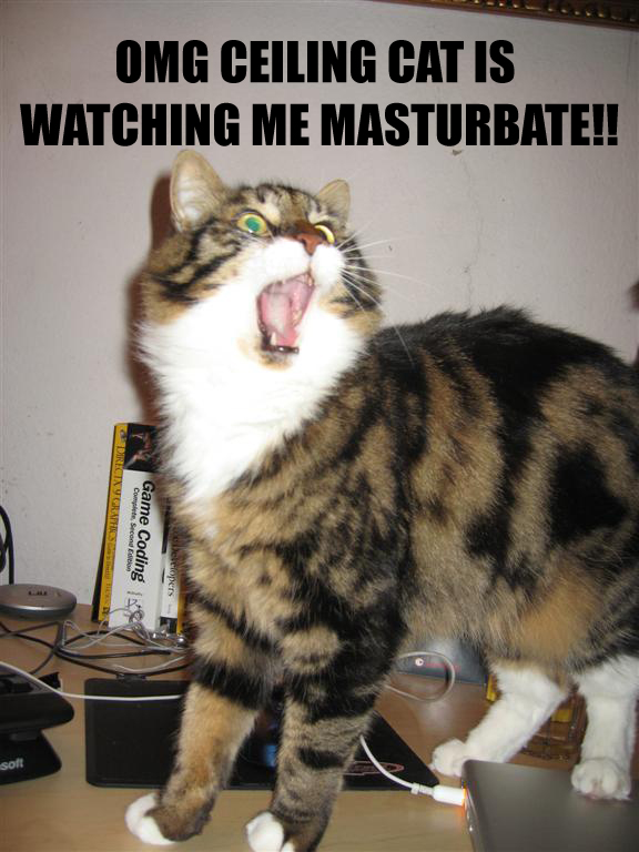 voyeur nanny cam daughter cat is watching you masturbate