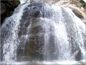 pachamalai hills