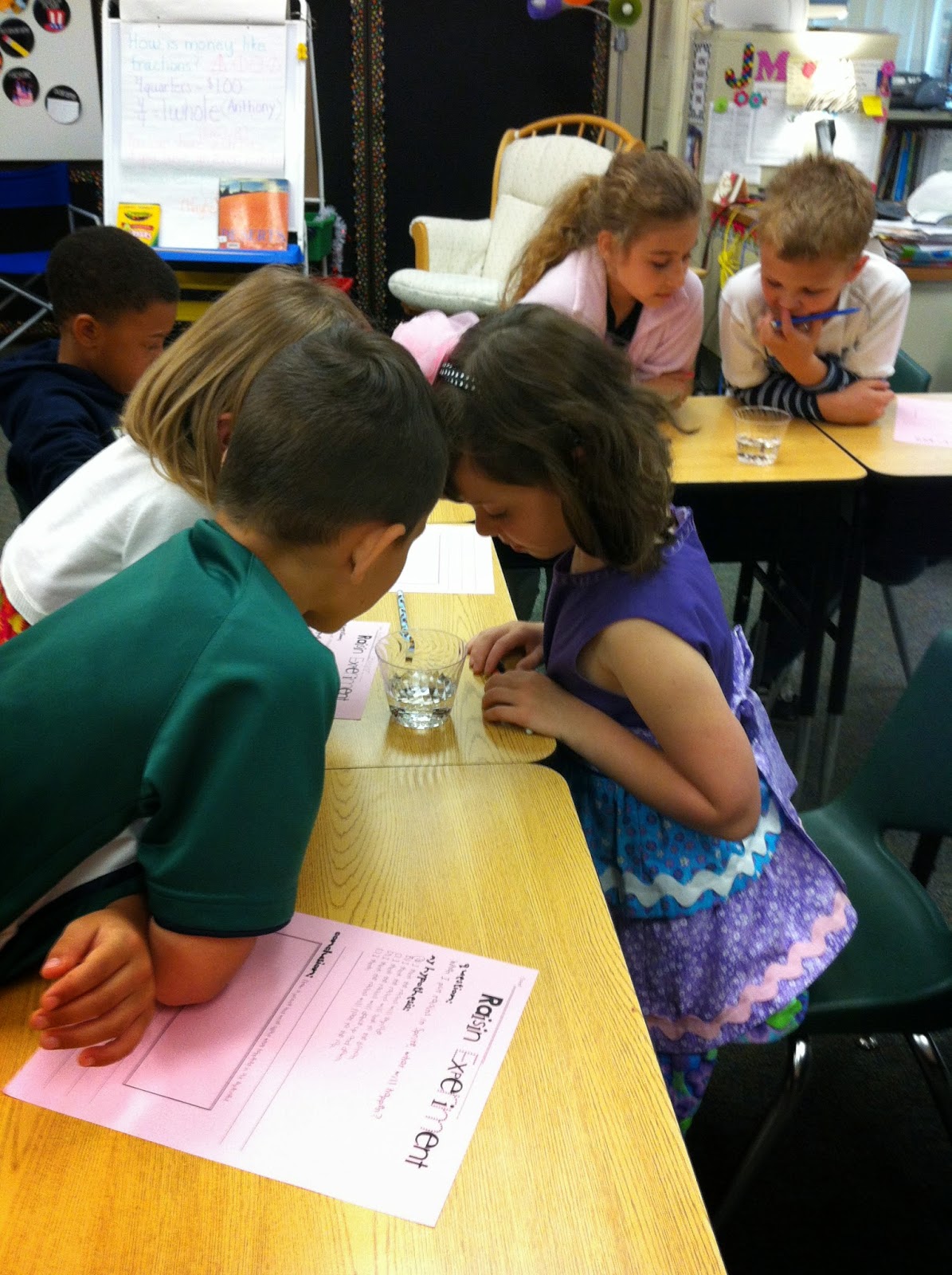 Wild About Second Grade: Being a Scientist!