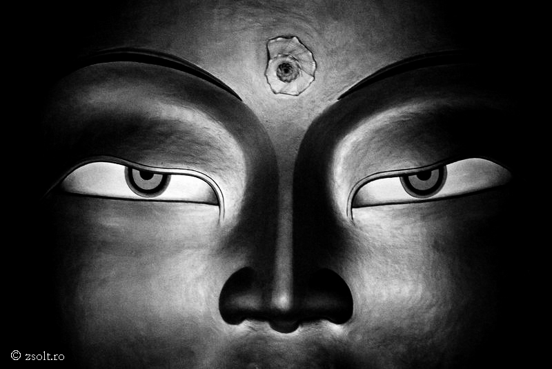 epninumcont buddha wallpaper free