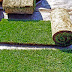 Vivero Yanix