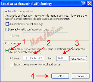 Menu Local Area Network (LAN) Settings - Image by MeNDHo.com