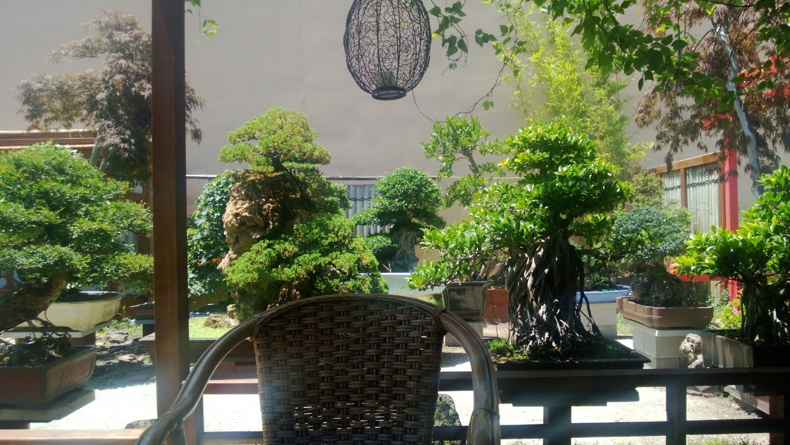 Jen Erous Helpings Sweet Grass Bonsai Cafe Jen Erous Helpings Sweet Grass Bonsai Cafe