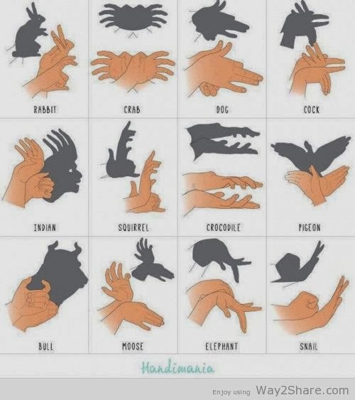 Amazing Guide teach you to making animal shadows the daily post