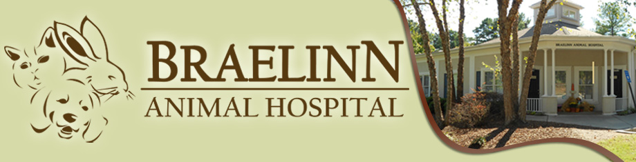 Braelinn Animal Hospital