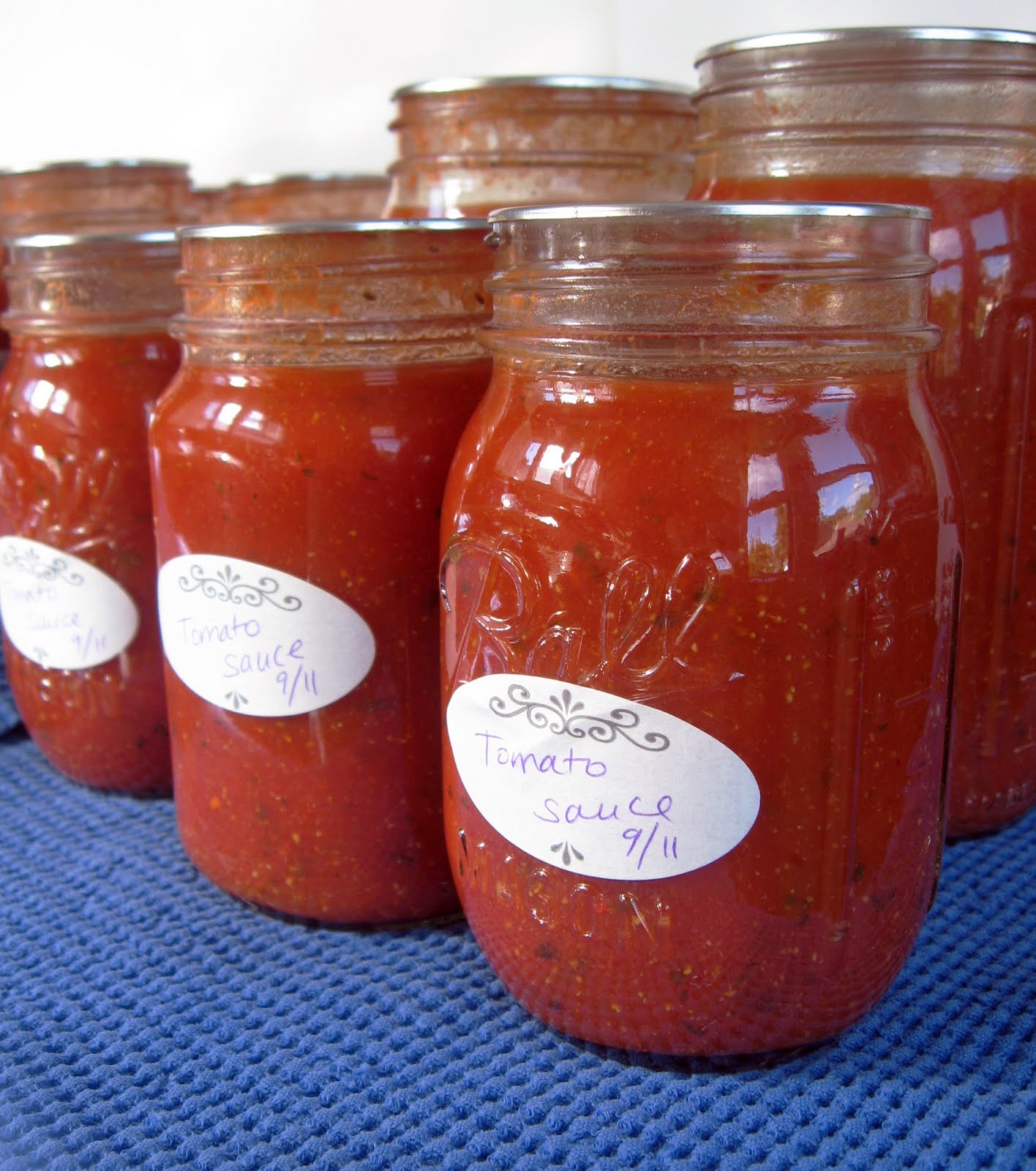 Burp! Recipes Pizza or Pasta Sauce