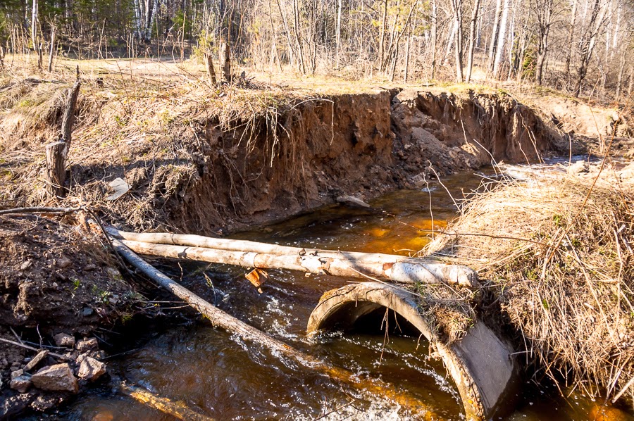 Одиночные катания