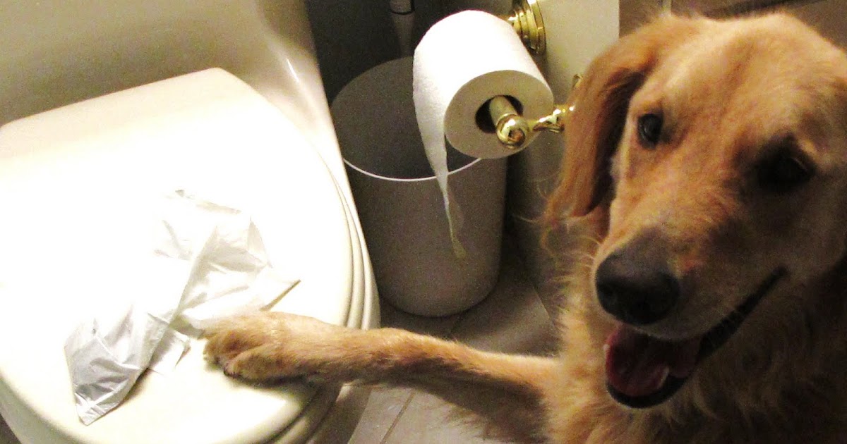 flush puppies doodie bags