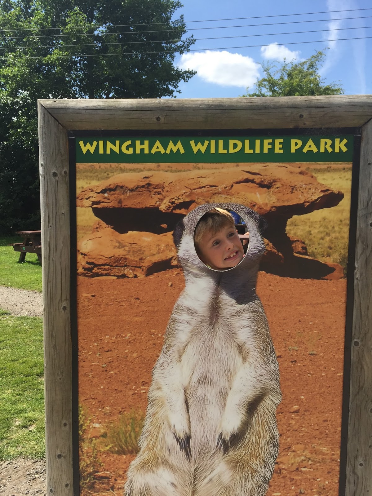 Mummy's Little Blog Day out to Wingham Wildlife Park