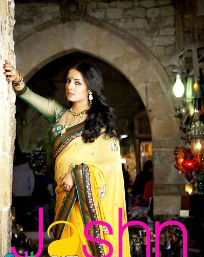Celina Jaitley Jashn Saree Collection
