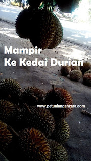 durian anyer