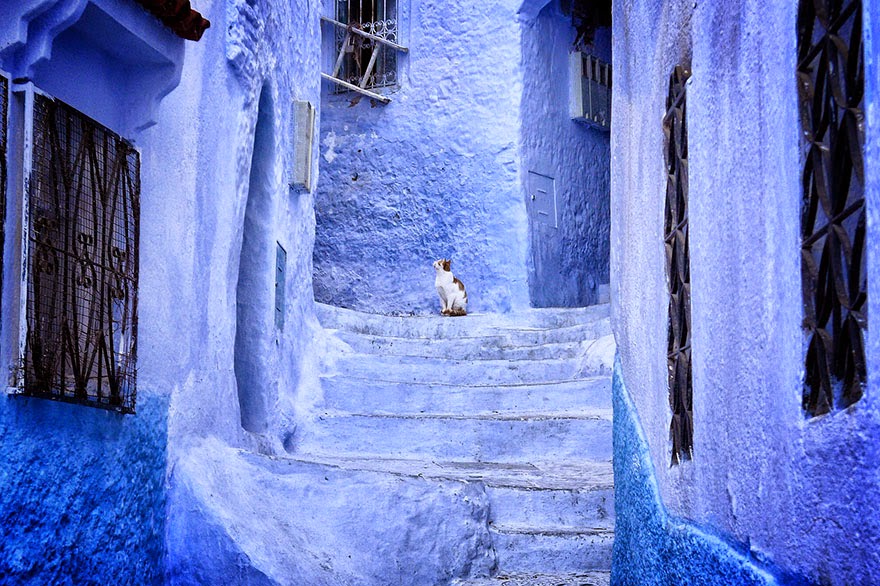 You Have To See This Mesmerizing Town In Morocco Covered In Blue Paint You Have To See This Mesmerizing Town In Morocco Covered In Blue Paint