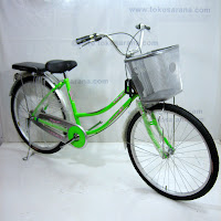 B 26 Inch Evergreen Riesa City Bike