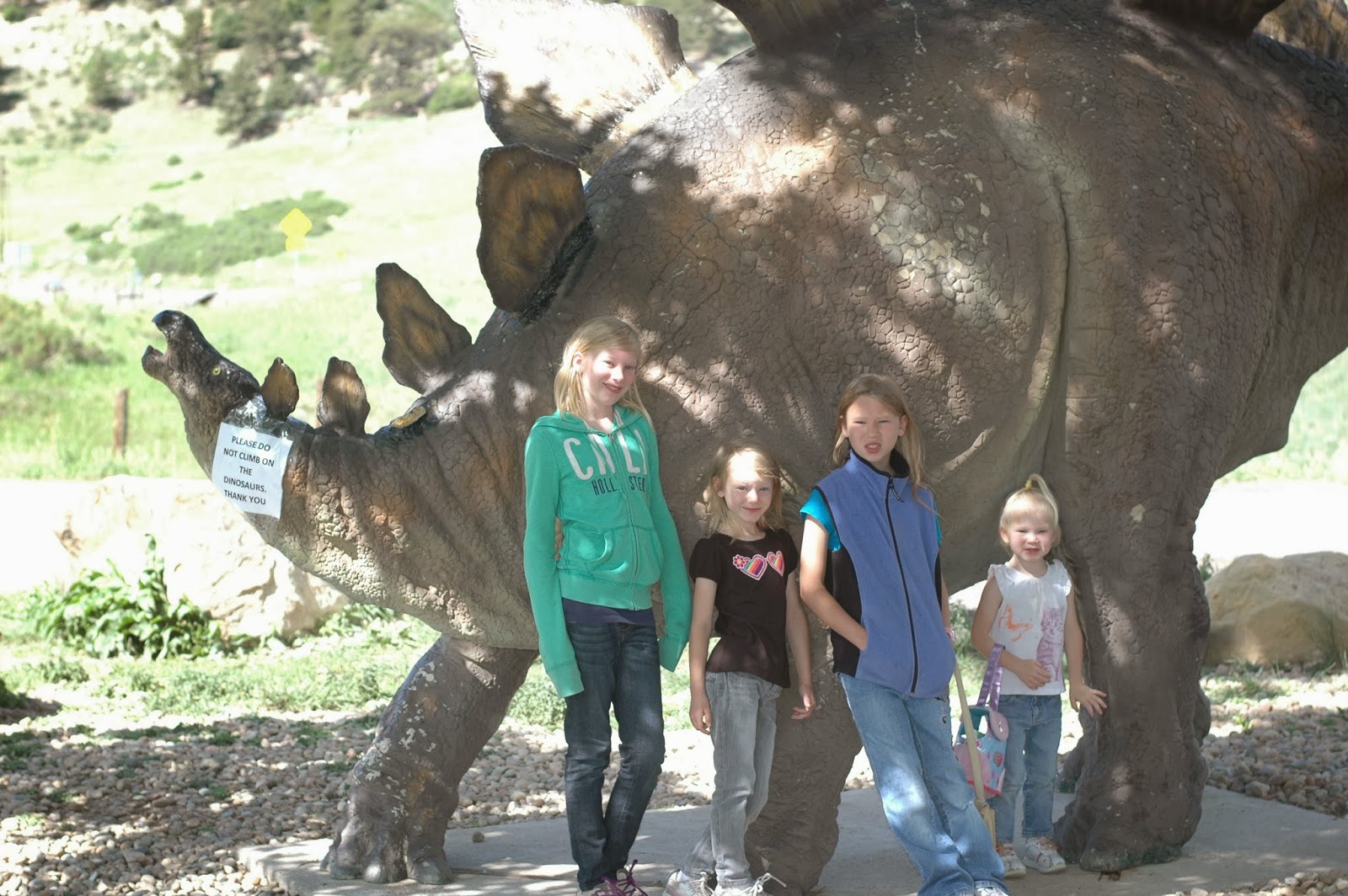 Explore Colorado Dinosaur Ridge Morrison Colorado Walk Where the