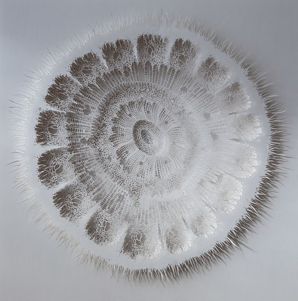 As incríveis esculturas de papel com padrões de micróbios, micro-organismos e células de Rogan Brown Rogan Brown esculturas de papel organismos microscópios micróbios células biológicas natureza