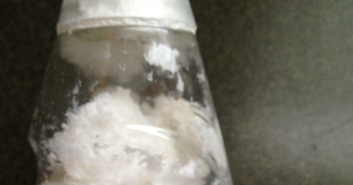 The DIY Guinea Pig Bathtub Cleaner