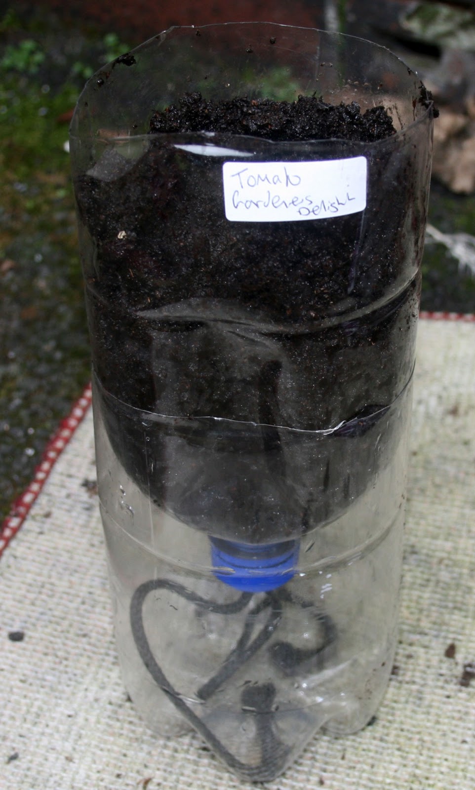 The PartTime Homesteader Self watering planters and planting tomatoes