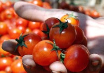 One for All and All for One