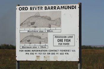 They're serious about barra round here! Ord River WA
