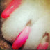 @ChoupettesDiary Tweets