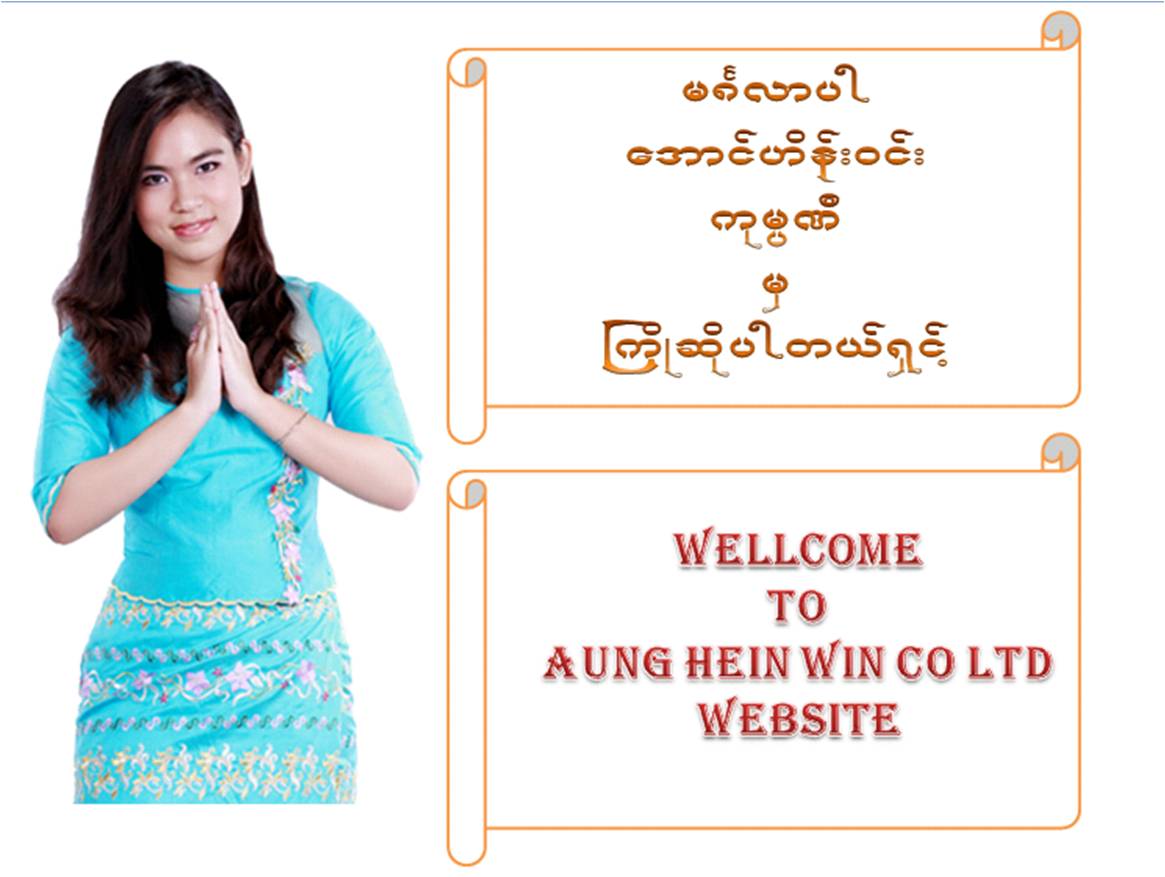 Aung Hein Win Company Limited