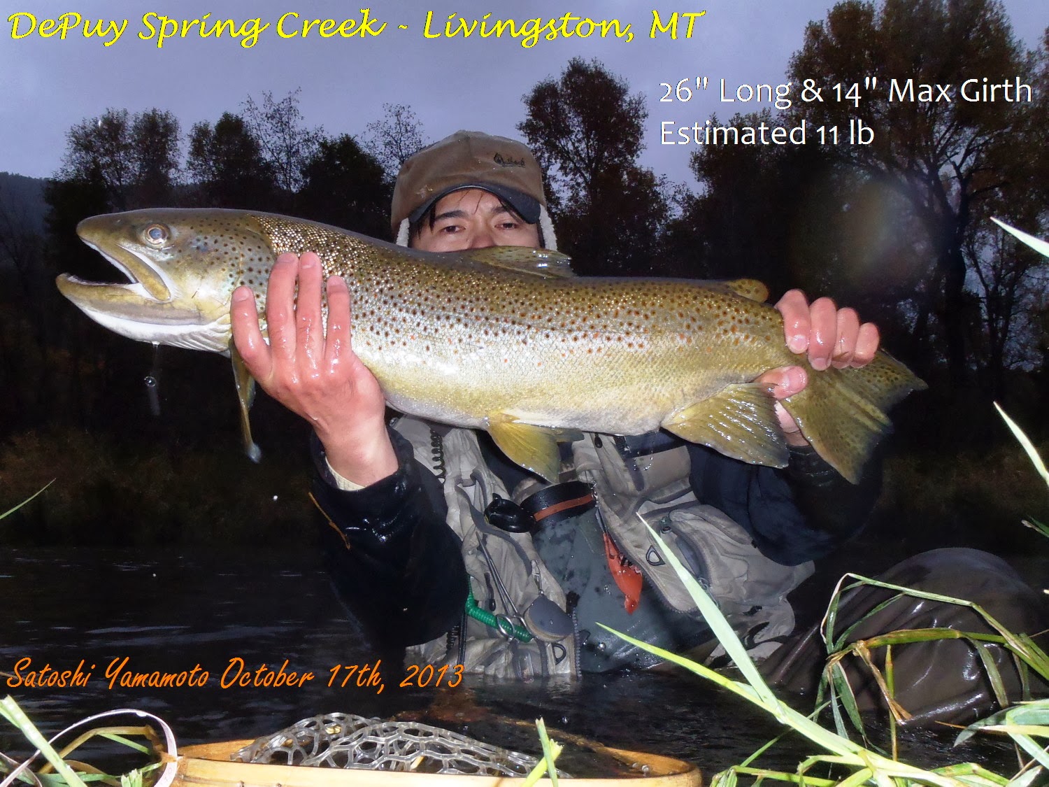 Mountains, Rivers, & Trout Guiding & Fishing on Livingston's Spring Creeks