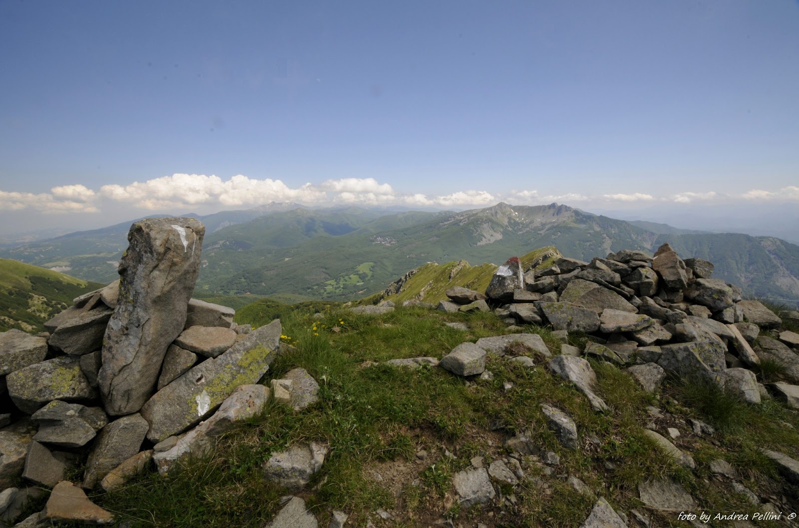 Una montagna di foto Monte Alto (m. 1904)