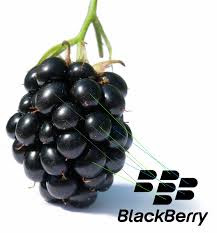 cara lengkap mendaftar paket blackberry 3 6 bulan