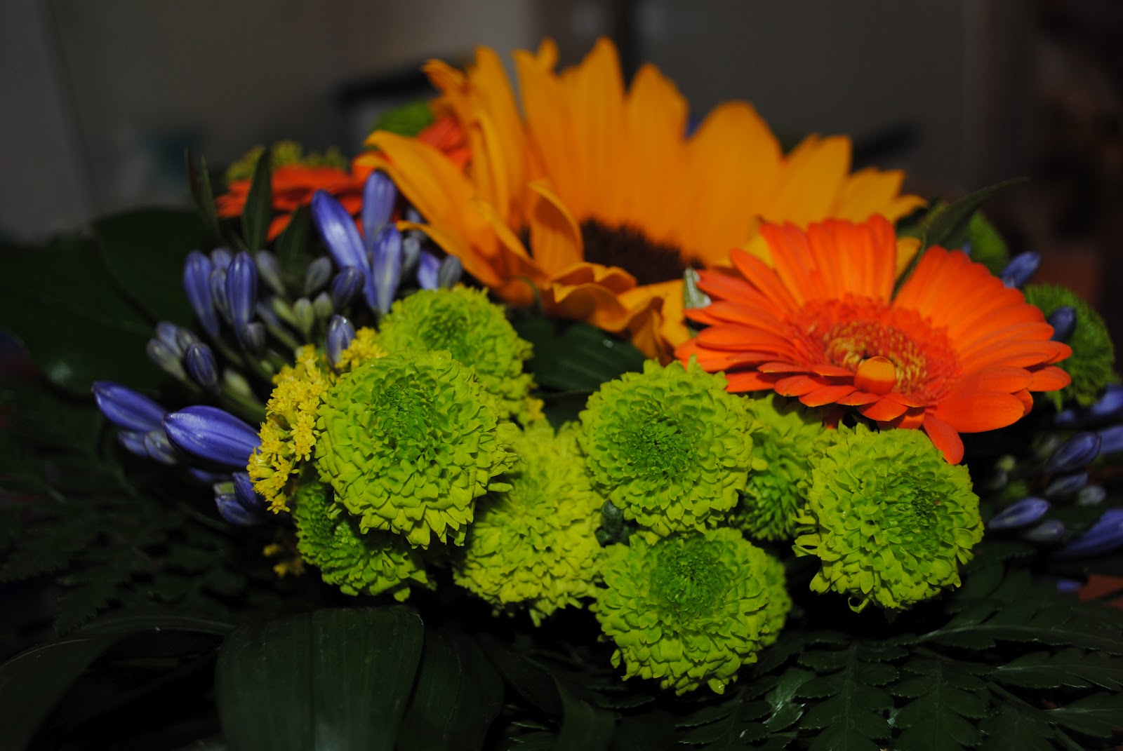 Blümchen waren gestern Blumen sind heute Frankies Testwelt