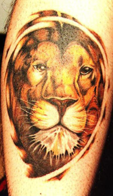 Lion Tattoos designs picture 2012