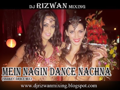 Nagin Song Dj Remix Download