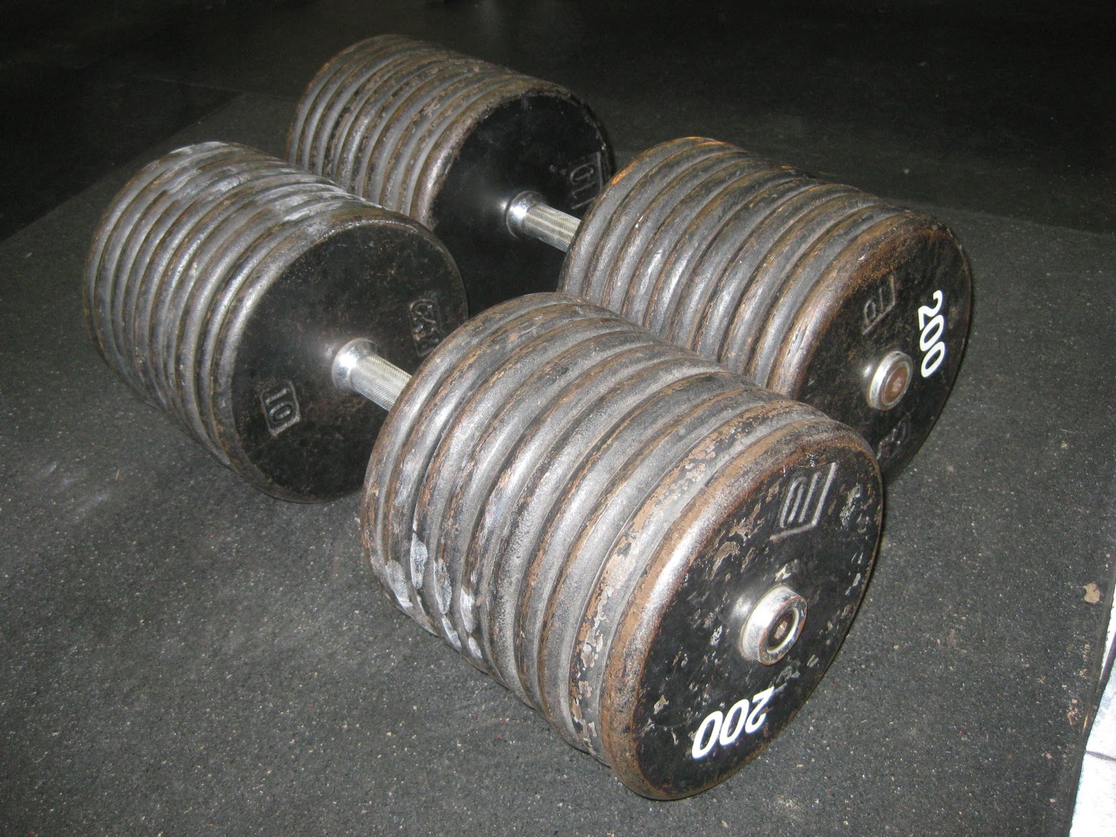 to the Bulky Boy Blog! Seattle Animal Barbell Club at