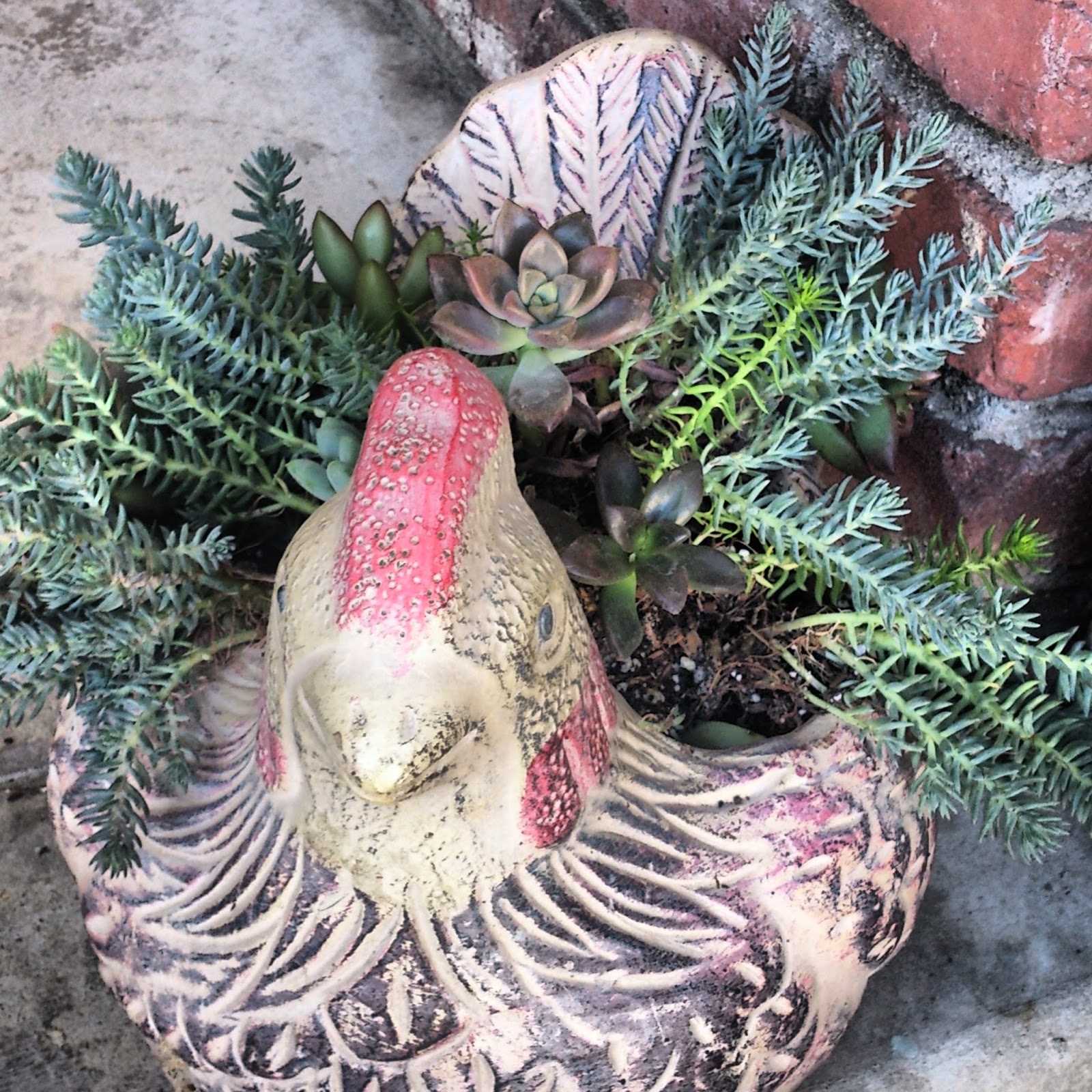 Sunny Simple Life Garden Beauty