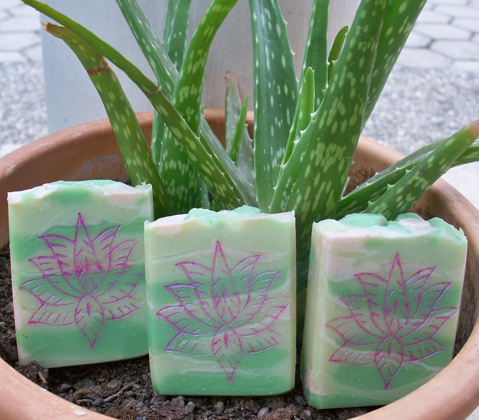 Seifenliebe Rostet Nicht Seife Mit Aloe Vera Gel Und Sheabutter