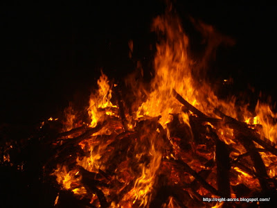 eight acres: preparing firewood