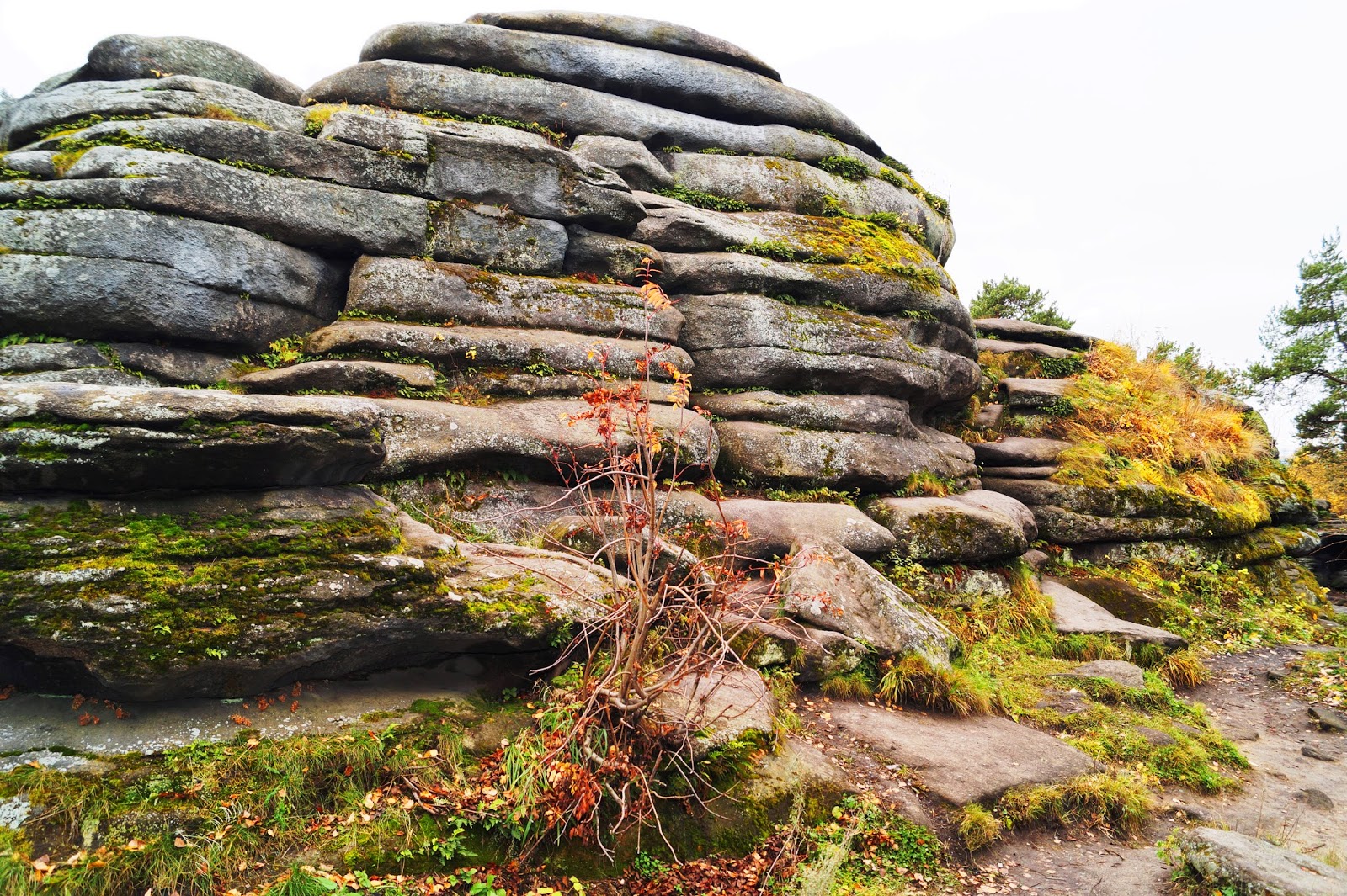Каменные Палатки Екатеринбург Парк Фото – Telegraph