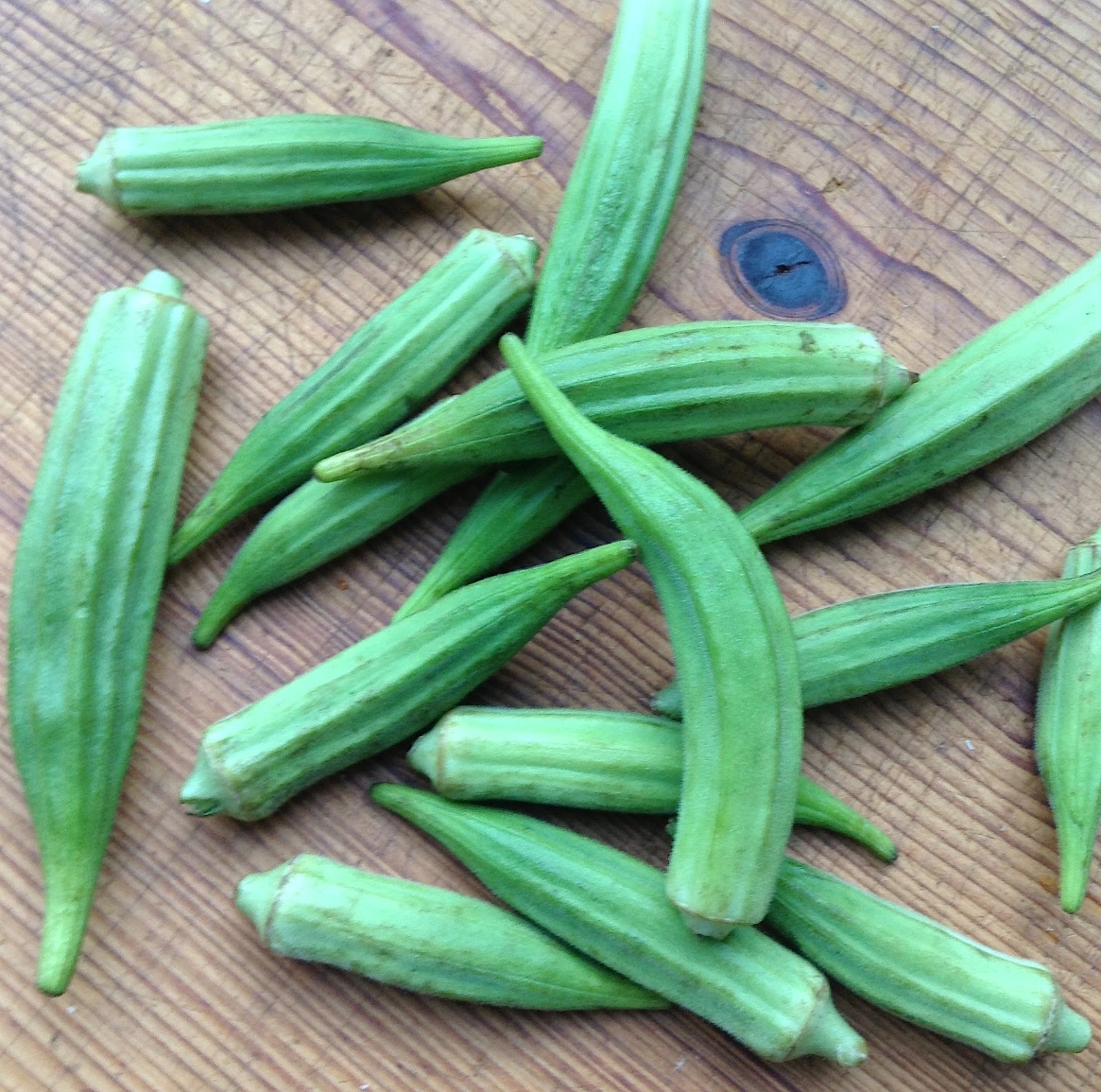 Kitchen Bounty Okra with Tomatoes and Bacon (with or without Shrimp)