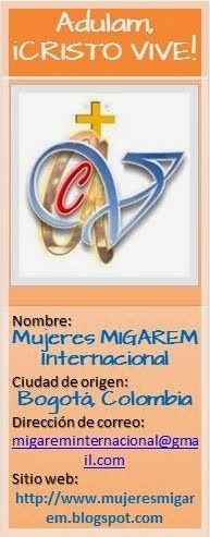 INSIGNIA MMI-ACV