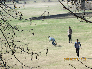 Cricket is a very popular sport in Srinagar.