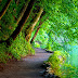 Nature Wallpaper ..