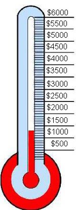 Help Us Reach Our $6000 Goal