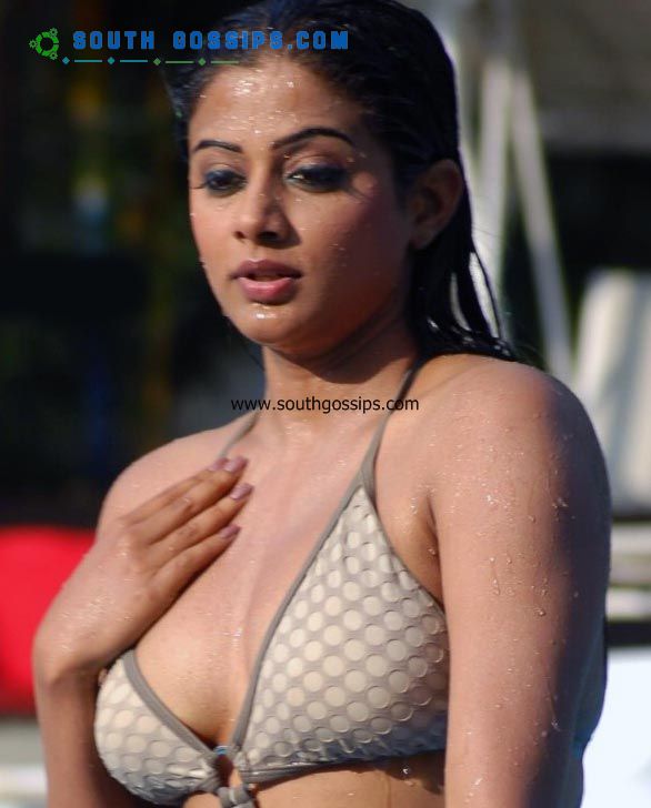 priyamani hot gallery priyamani hot gallery