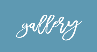 SOCIAL MEDIA & GALLERY