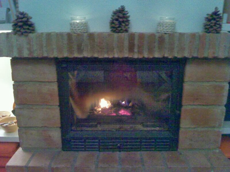 VivaSusi Blog: Wie den Kamin dekorieren?