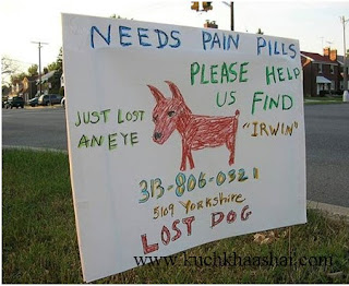 12 Funniest Lost & Found Pet Signs