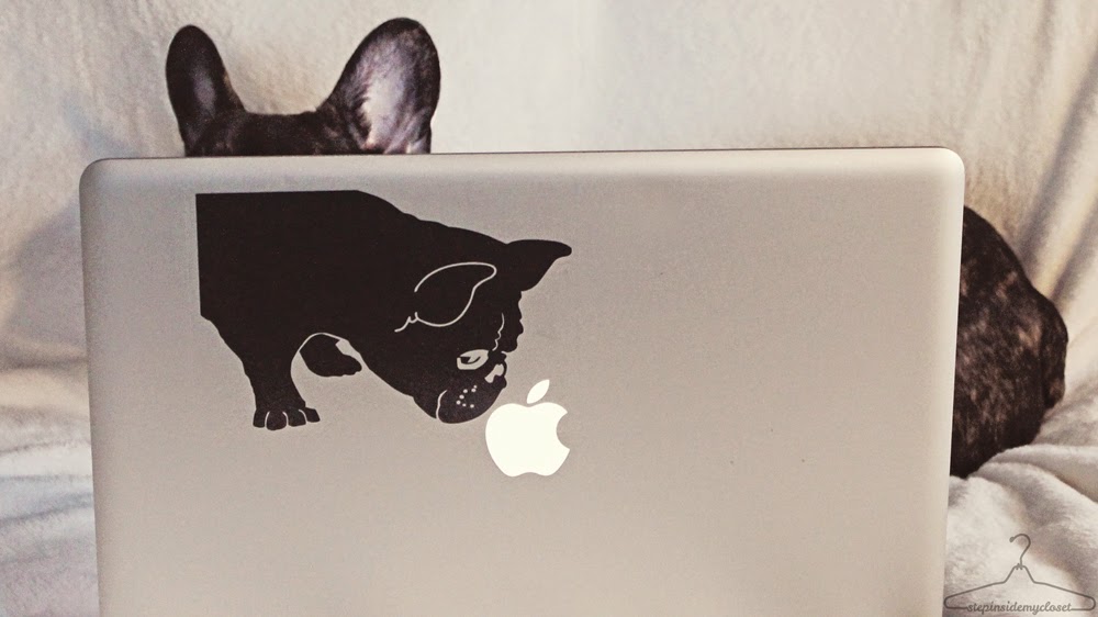 Step Inside My Closet - Ivy Bee Decals, Apple MacBook, French Bull Dogs, Daily Dose of Bean
