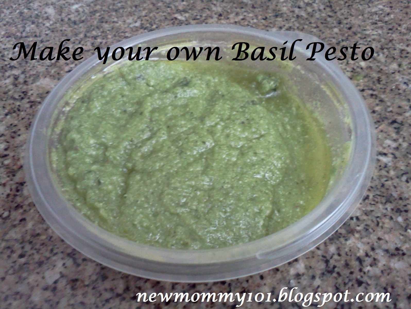 New Mommy 101 Make your own Basil Pesto sauce