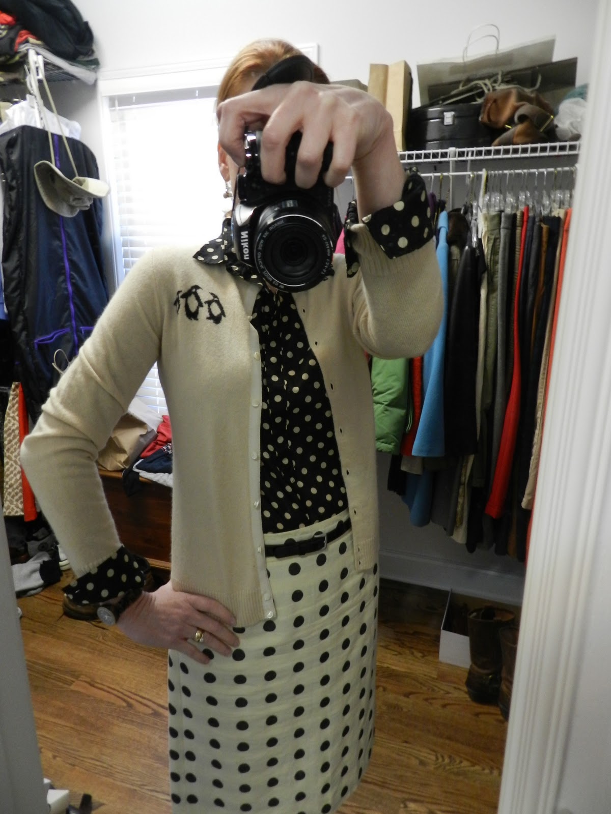 TWEED AND TOILE Review J Crew PolkaDot Popover